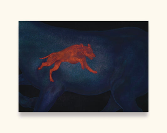 Fine Art Print X-ray