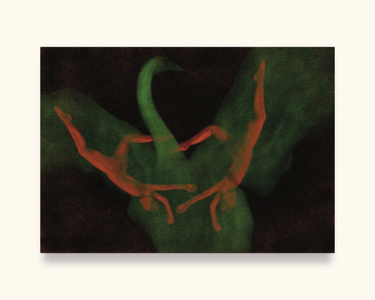 Fine Art Print Falling Swan