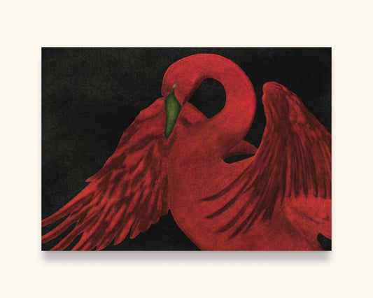 Fine Art Print Burning Swan