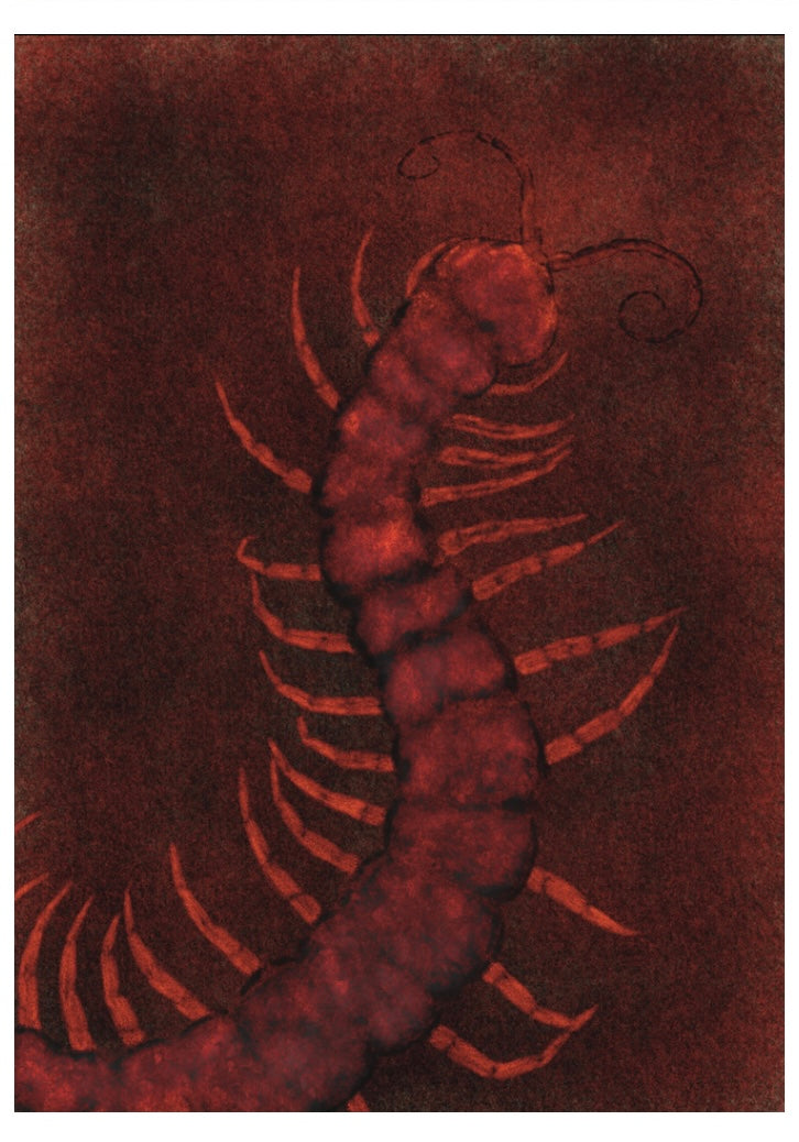 Centipede Digital Product