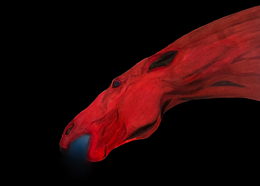 Fine Art Print The Dragon