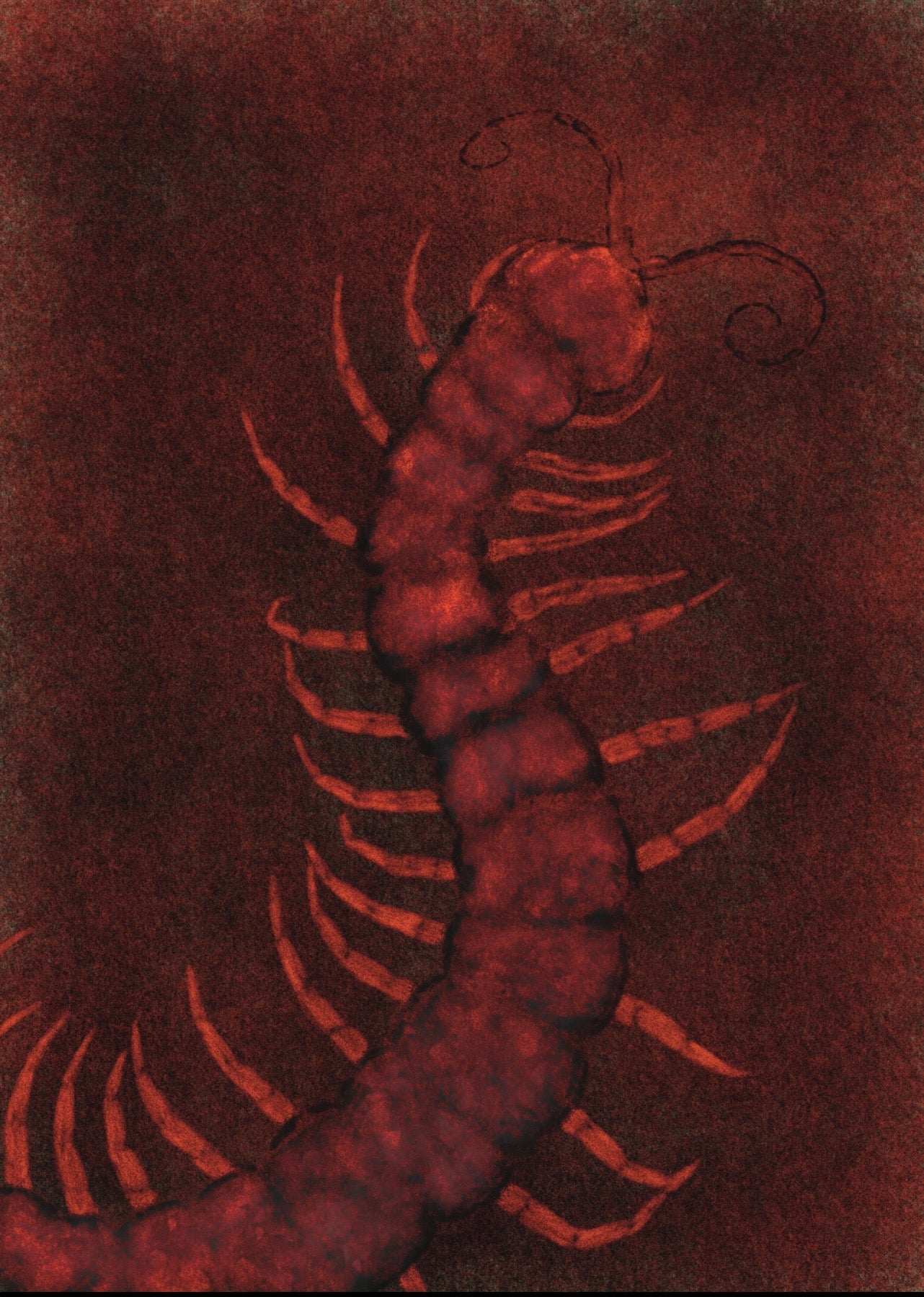 Centipede Digital Product