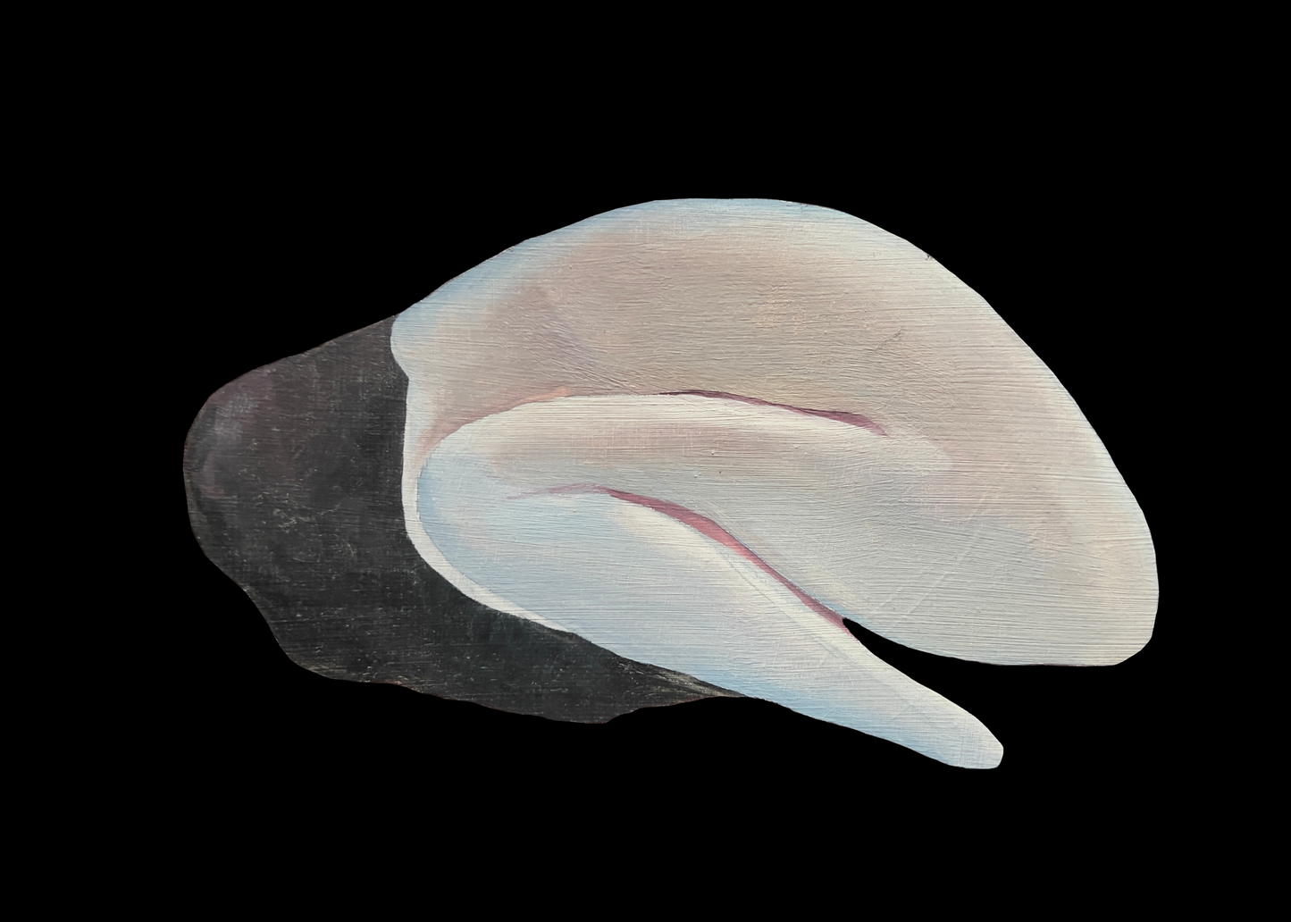 Fine Art Print Womb