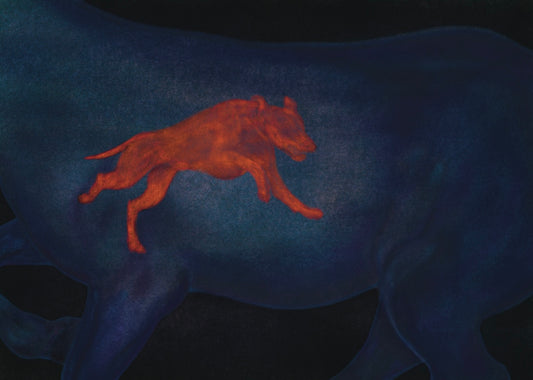 Fine Art Print X-ray