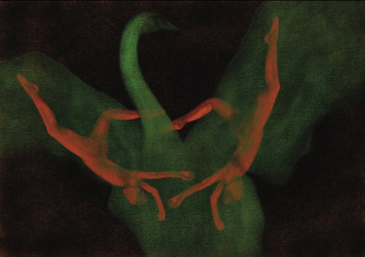 Falling Swan Digital Product