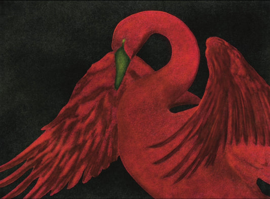 Fine Art Print Burning Swan